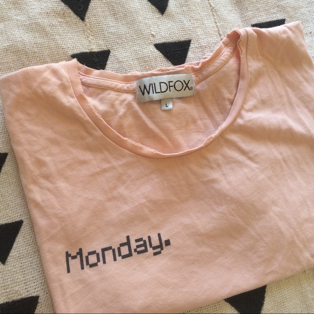Wildfox frayed hem tee